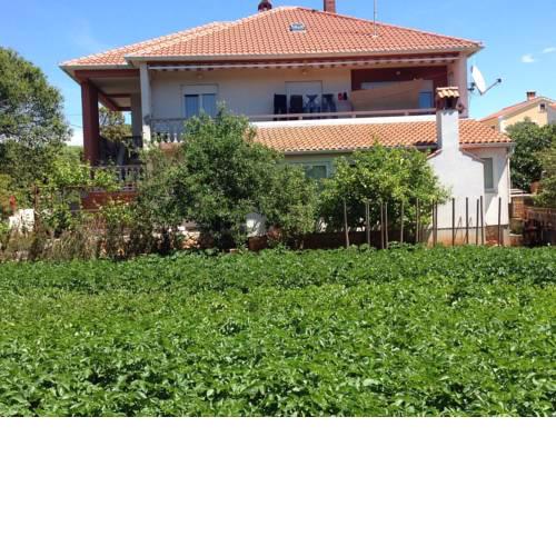 Apartments by the sea Muline (Ugljan) - 12533