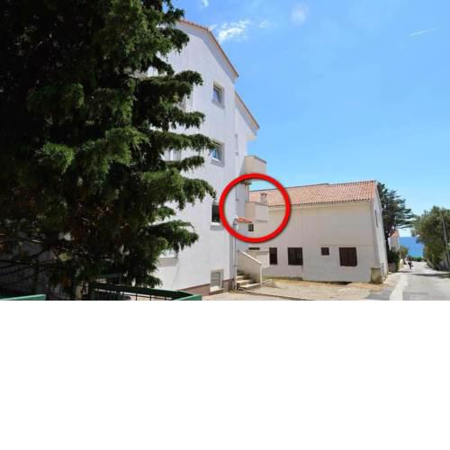 Apartments by the sea Novalja (Pag) - 18019