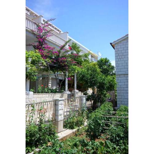Apartments by the sea Orebic (Peljesac) - 10190