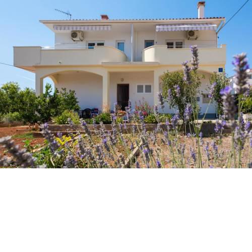 Apartments by the sea Petrcane (Zadar) - 17342