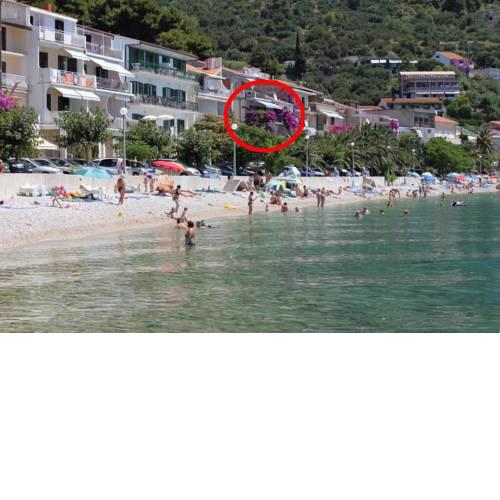Apartments by the sea Podgora (Makarska) - 6801