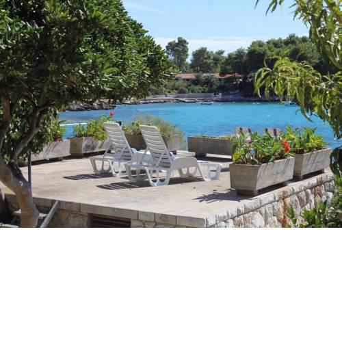 Apartments by the sea Prizba (Korcula) - 9153