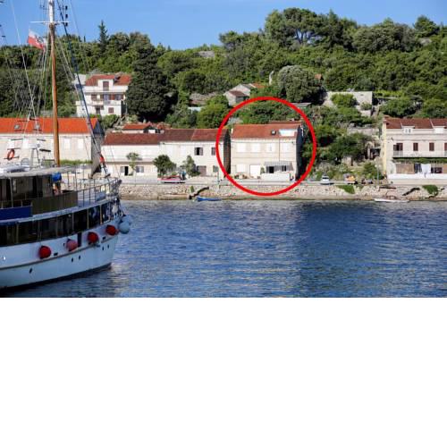 Apartments by the sea Racisce (Korcula) - 4361