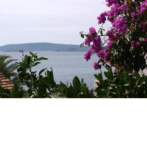 Apartments by the sea Seget Vranjica (Trogir) - 2037