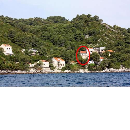 Apartments by the sea Sobra (Mljet) - 4908