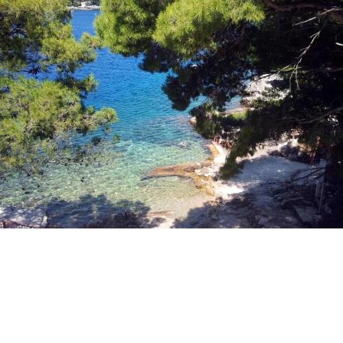 Apartments by the sea Sobra (Mljet) - 7531