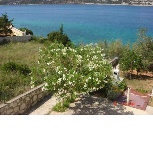 Apartments by the sea Stara Novalja (Pag) - 13938