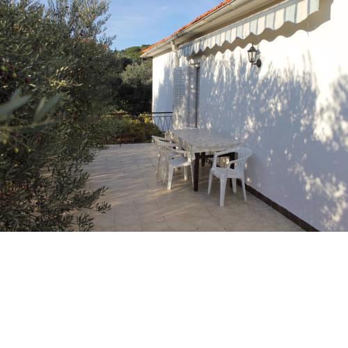 Apartments by the sea Tkon (Pasman) - 5825