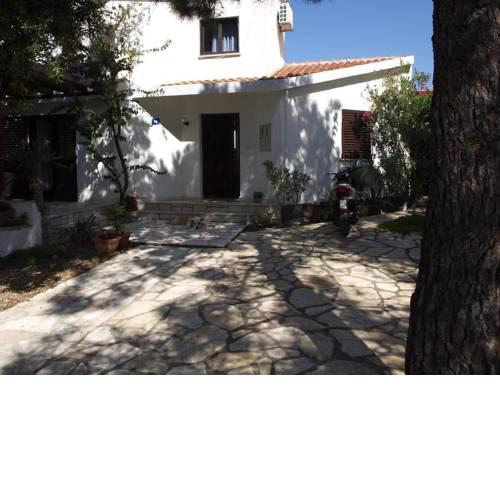 Apartments by the sea Vir - Kozjak (Vir) - 16734