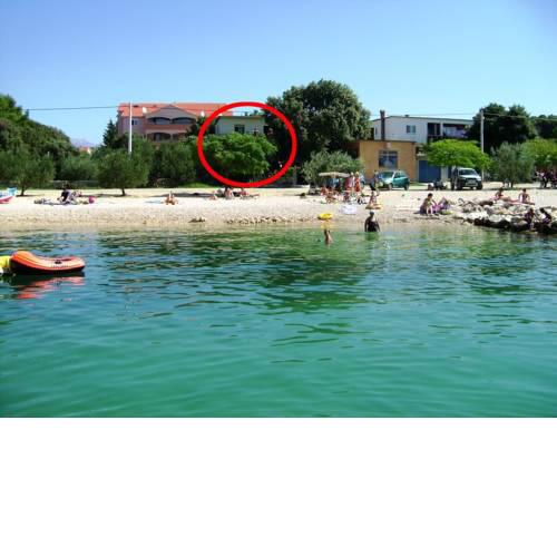 Apartments by the sea Vrsi - Mulo (Zadar) - 5790