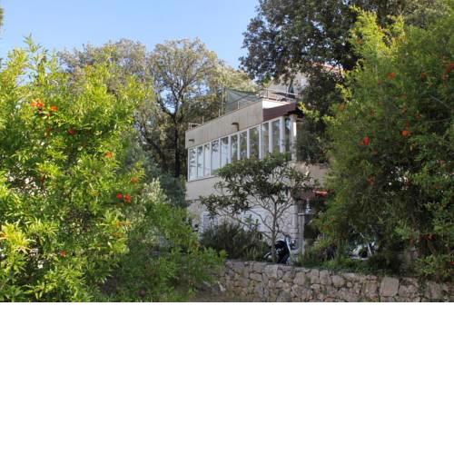 Apartments by the sea Zaton Veliki (Dubrovnik) - 9054