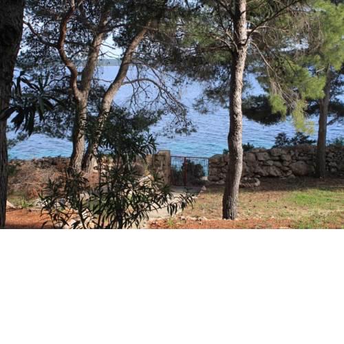 Apartments by the sea Zavala (Hvar) - 8774