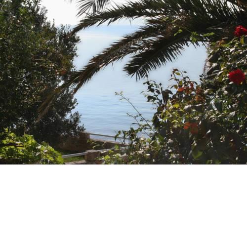 Apartments by the sea Zavode (Omis) - 1022