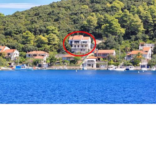 Apartments by the sea Zrnovska Banja (Korcula) - 4443