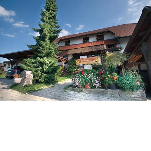 Apartments Cokla