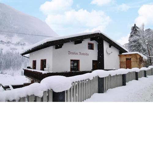 Apartments home Roswitha See im Paznauntal - OTR02517-RYA