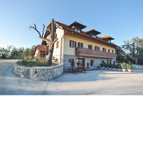 Apartments Jernej