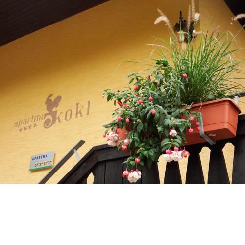 Apartments Kokl