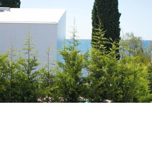 Apartments Materada 1