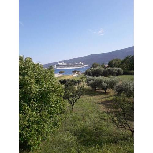 Apartments Navarin