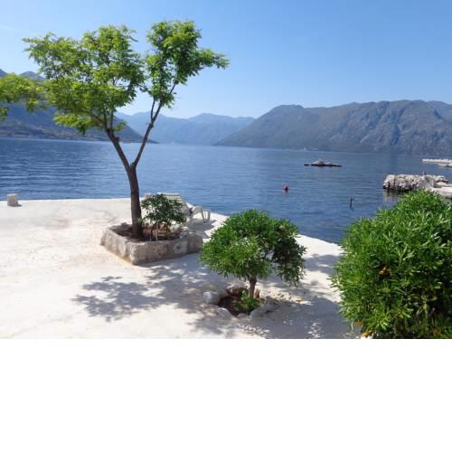 Apartments Ponta