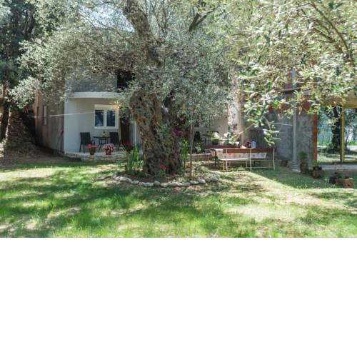 Apartments Radost