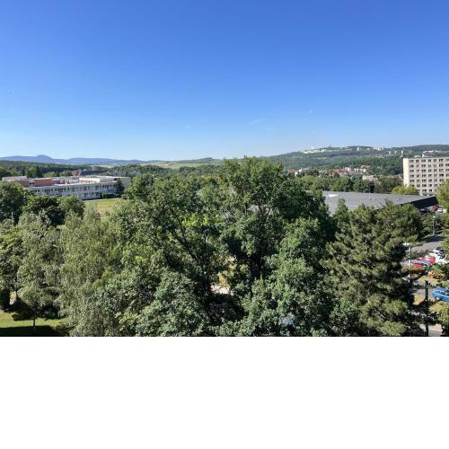Apartments Teplice Sanov