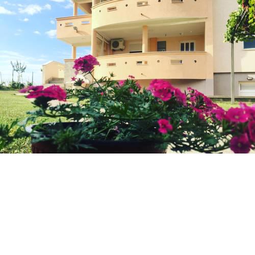 Apartments Vali