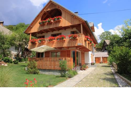 Apartments Vila Jelka