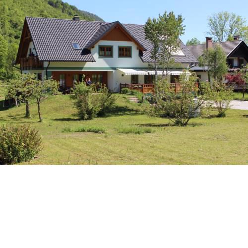 Apartments Villa Dov