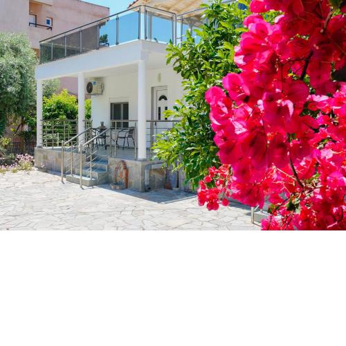 Apartments Vita