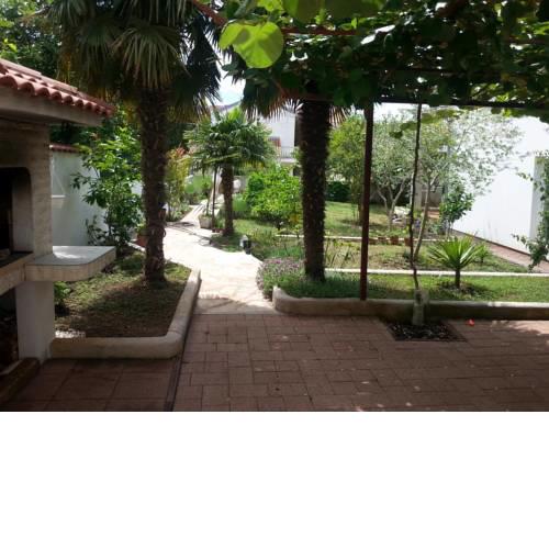 Apartments with a parking space Biograd na Moru (Biograd) - 11150