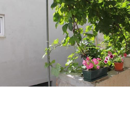 Apartments with a parking space Brela (Makarska) - 6906