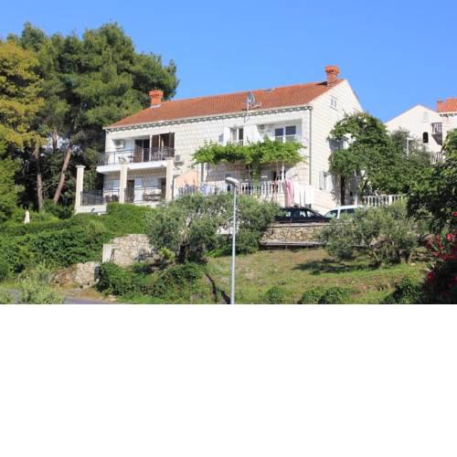 Apartments with a parking space Cavtat (Dubrovnik) - 9041
