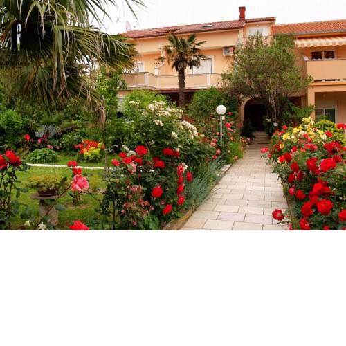 Apartments with a parking space Palit (Rab) - 5028
