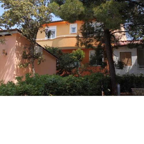 Apartments with a parking space Petrcane (Zadar) - 3300