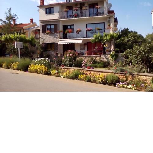 Apartments with a parking space Pomer (Medulin) - 13565