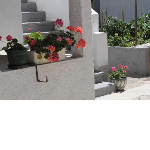 Apartments with a parking space Preko (Ugljan) - 8179
