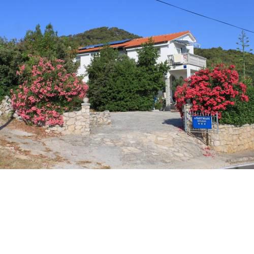 Apartments with a parking space Preko (Ugljan) - 8224
