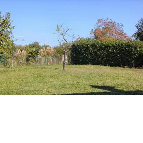 Apartments with a parking space Zambratija (Umag) - 7141