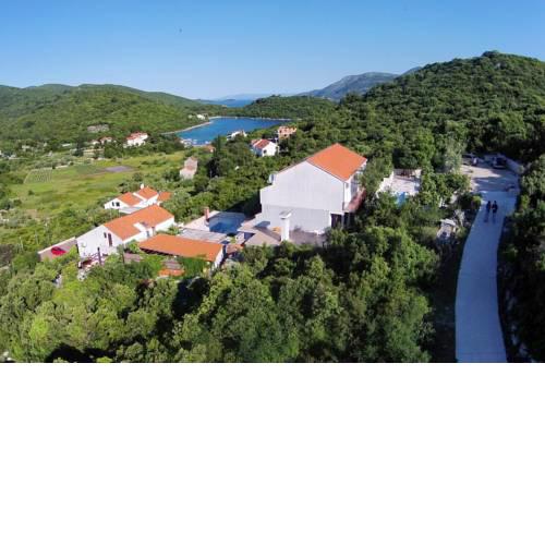 Apartments with a swimming pool Zrnovska Banja (Korcula) - 8335