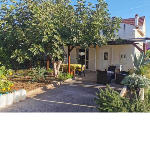 Apartments with WiFi Preko (Ugljan) - 16168