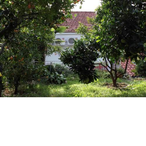Apartments with WiFi Trsteno (Dubrovnik) - 4746