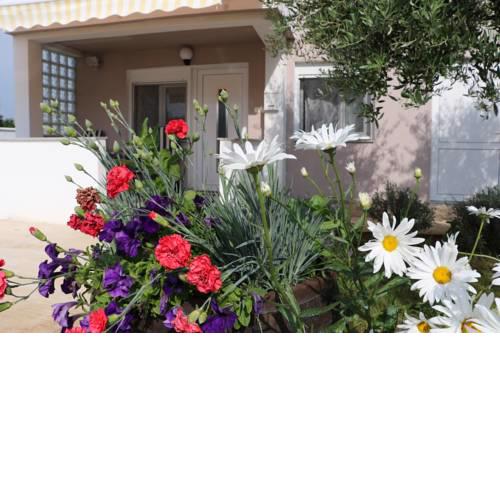 Apartments Zaton Draga