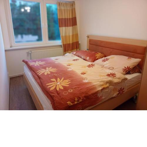 Apartnám Vřídelní
