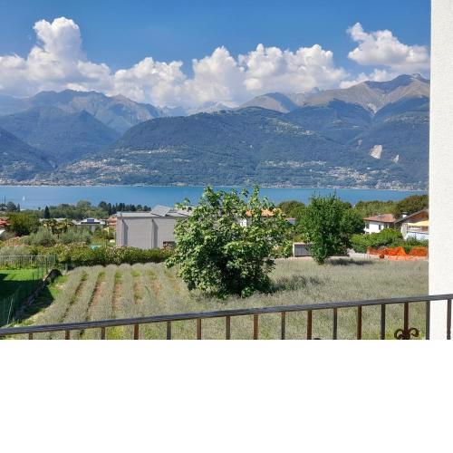 Ape Bianca - appartamento Oleandro