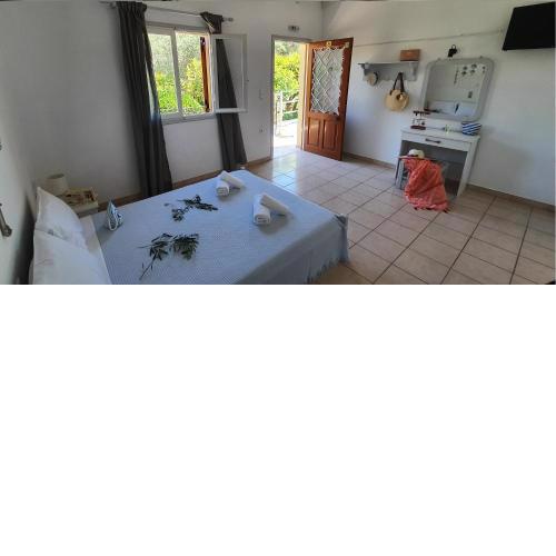 APHRODITE studios & apt with pool