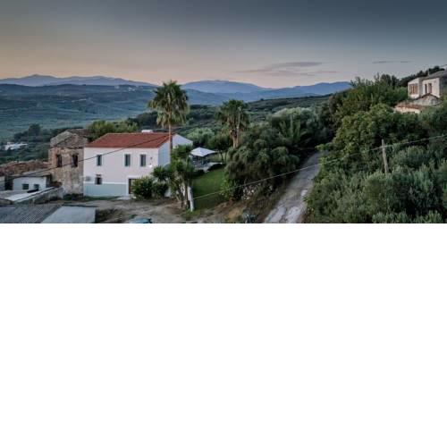 Apithano