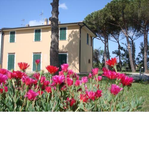 Appartamenti a Vignarca - Località Perelli
