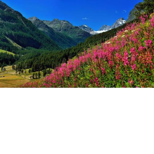 Appartamenti Edelweiss